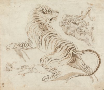 Study for a Tiger and Monkeys by James Northcote